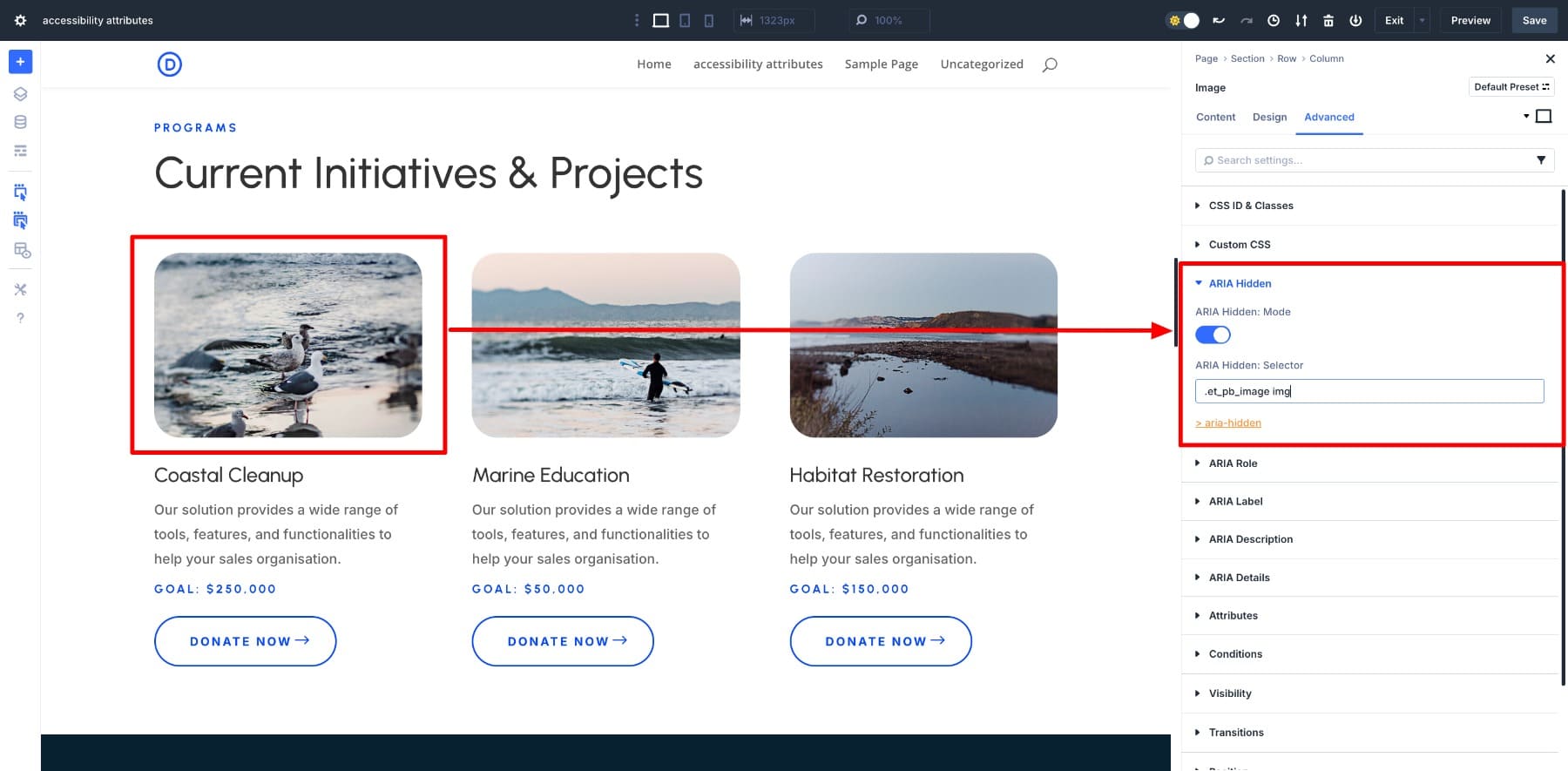 ARIA Hidden image example