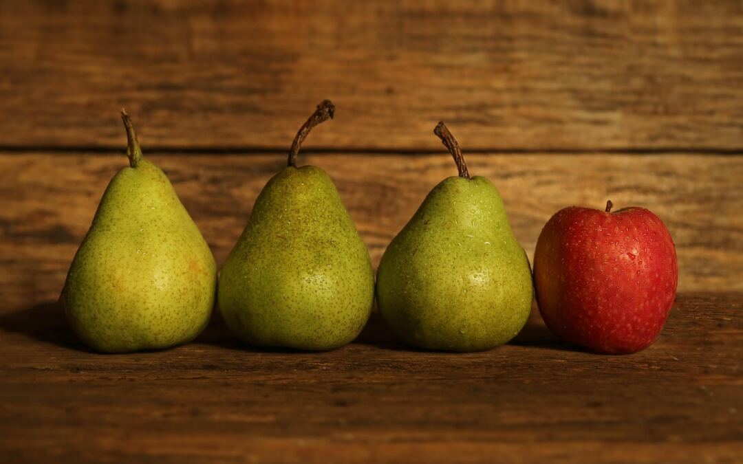 Automattic WordPress.com Vs. WordPress.org Comparability – WordPress: Unlocking Your Web site’s…