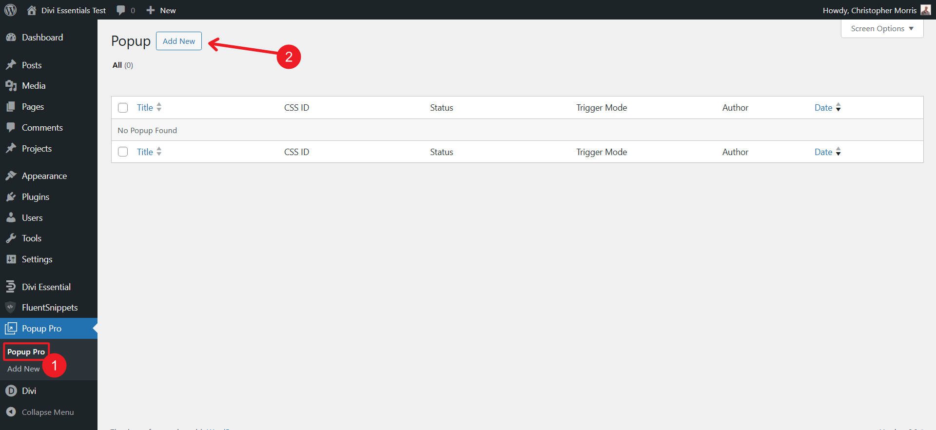 Divi Essentials Popup Pro Add New Popup
