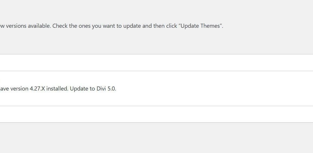 A New Divi For Execs And Severe Internet Design