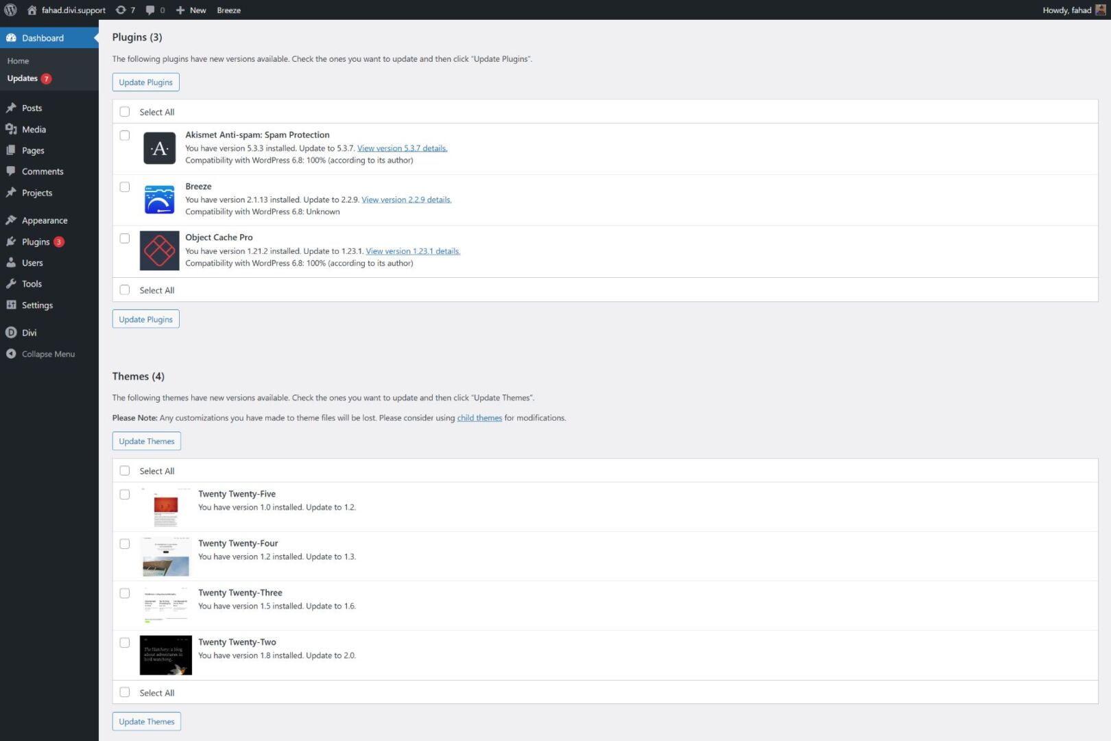 wordpress updates