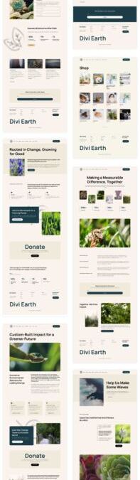 New NGO Starter Web page for Divi (Fast Set up)