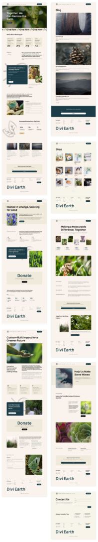 NGO starter site for Divi