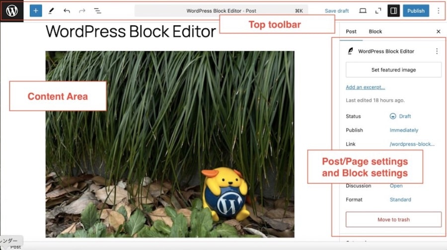 WordPress as a low-code platform: How a long way are you able to in reality pass?