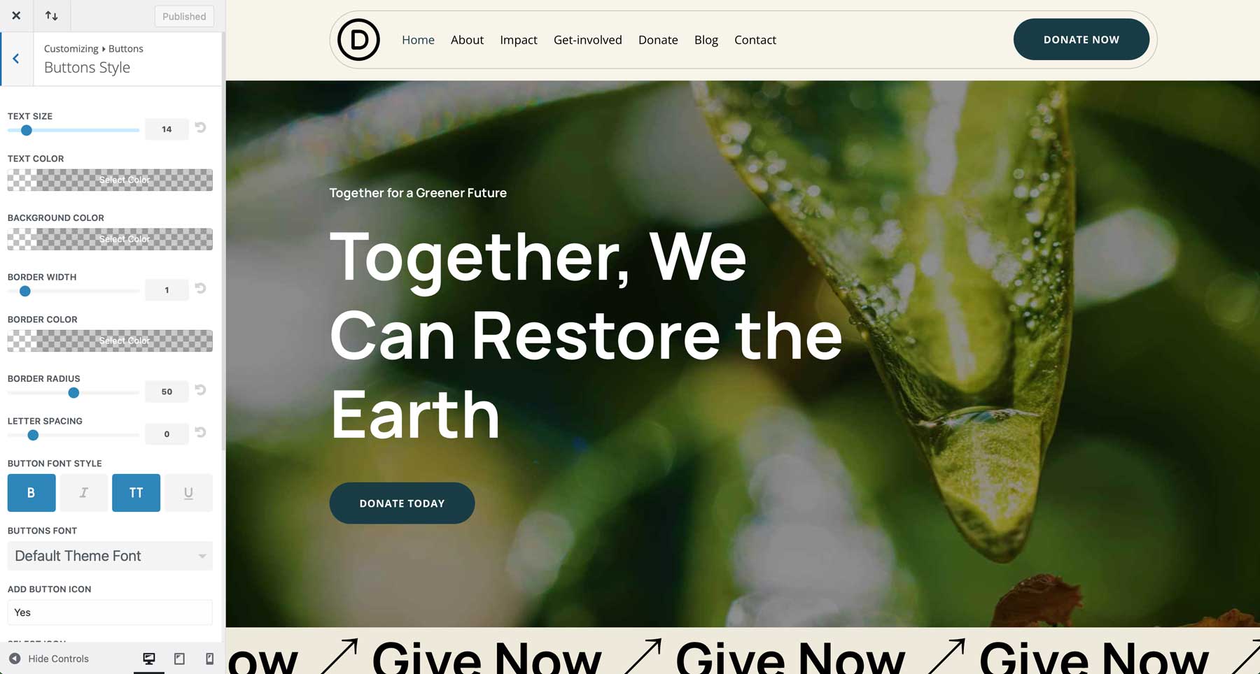 NGO starter site for Divi