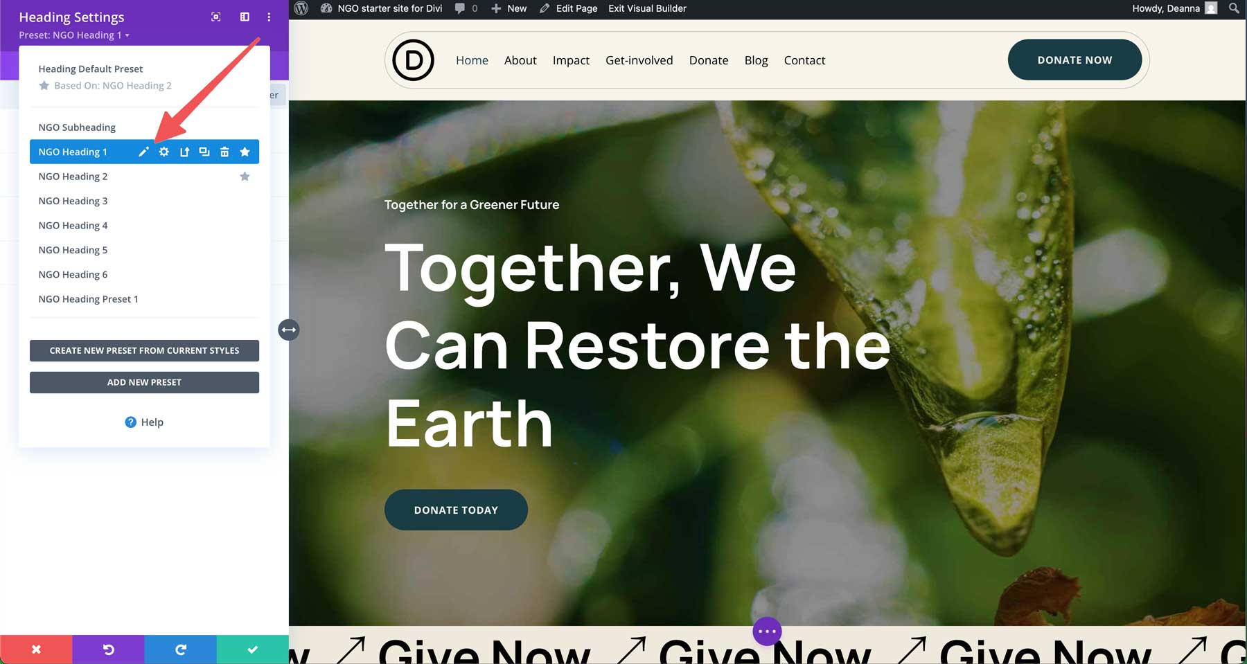 NGO starter site for Divi