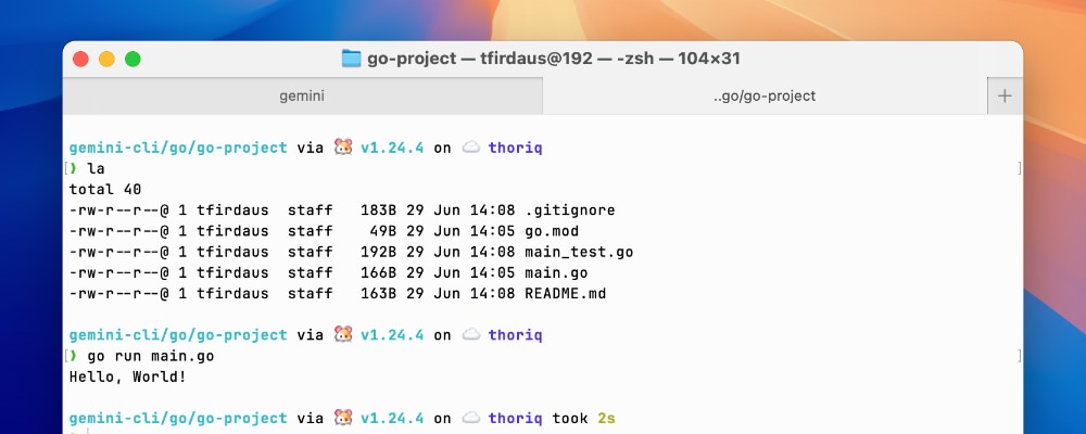Terminal showing the generated Go project structure with ls command