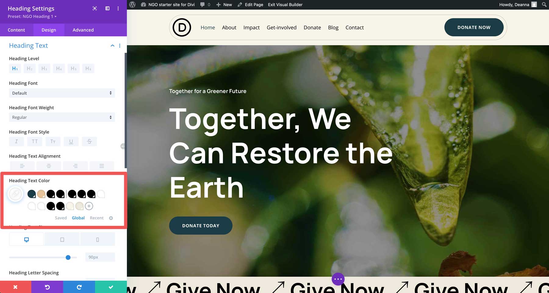 NGO starter site for Divi