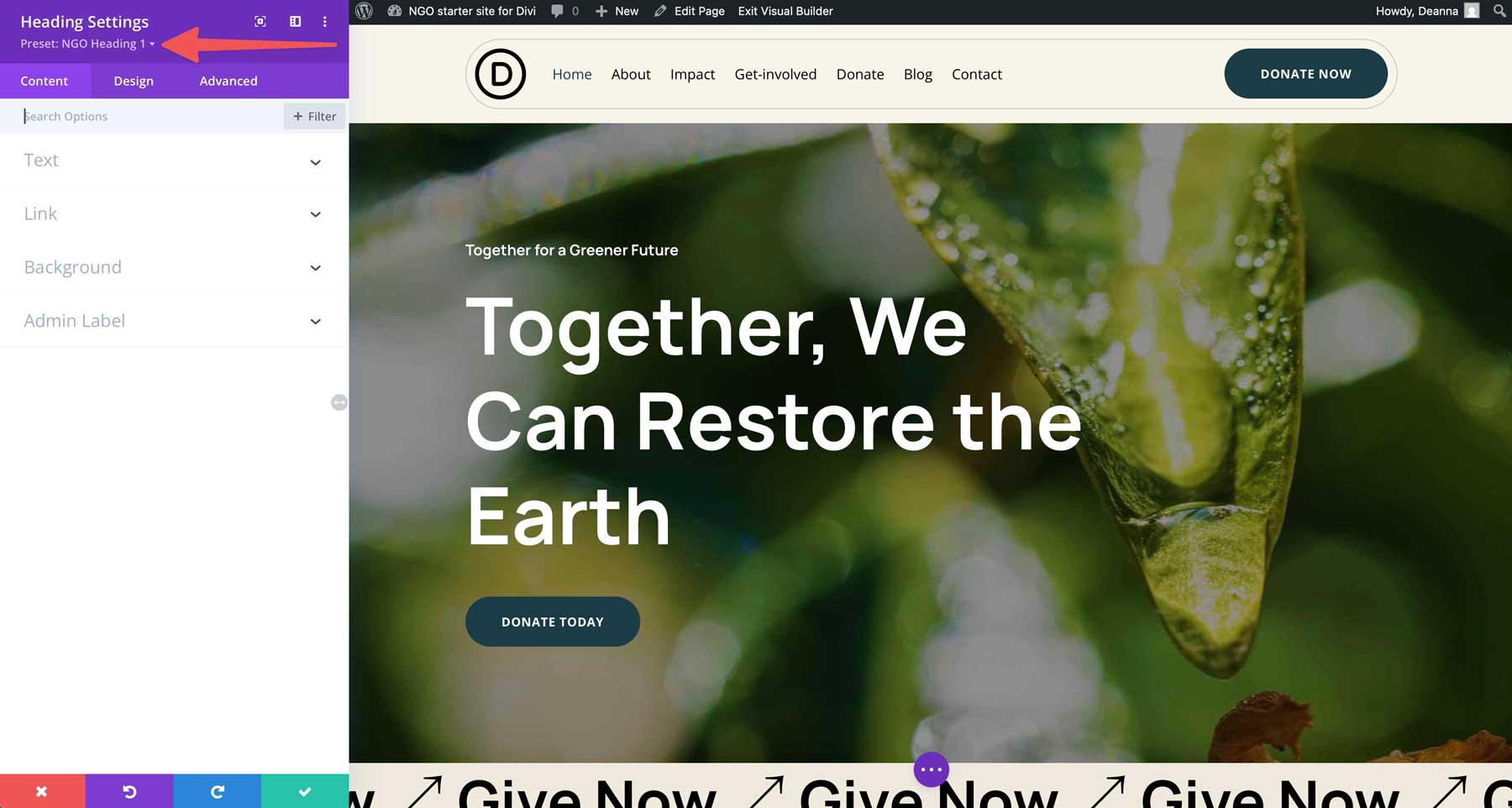 NGO starter site for Divi
