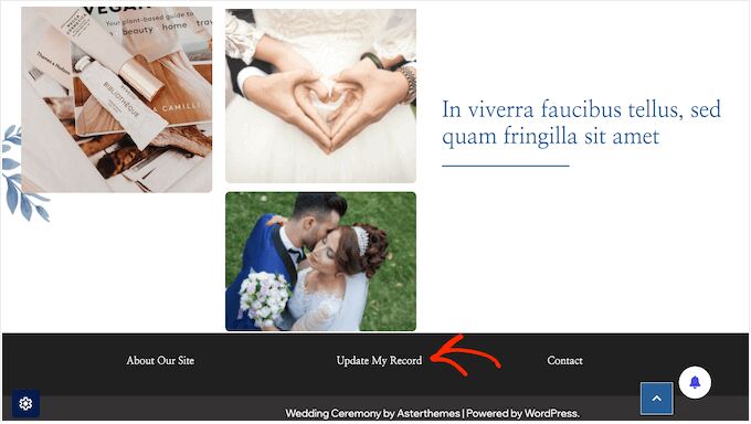 Displaying important privacy links in your website's footer