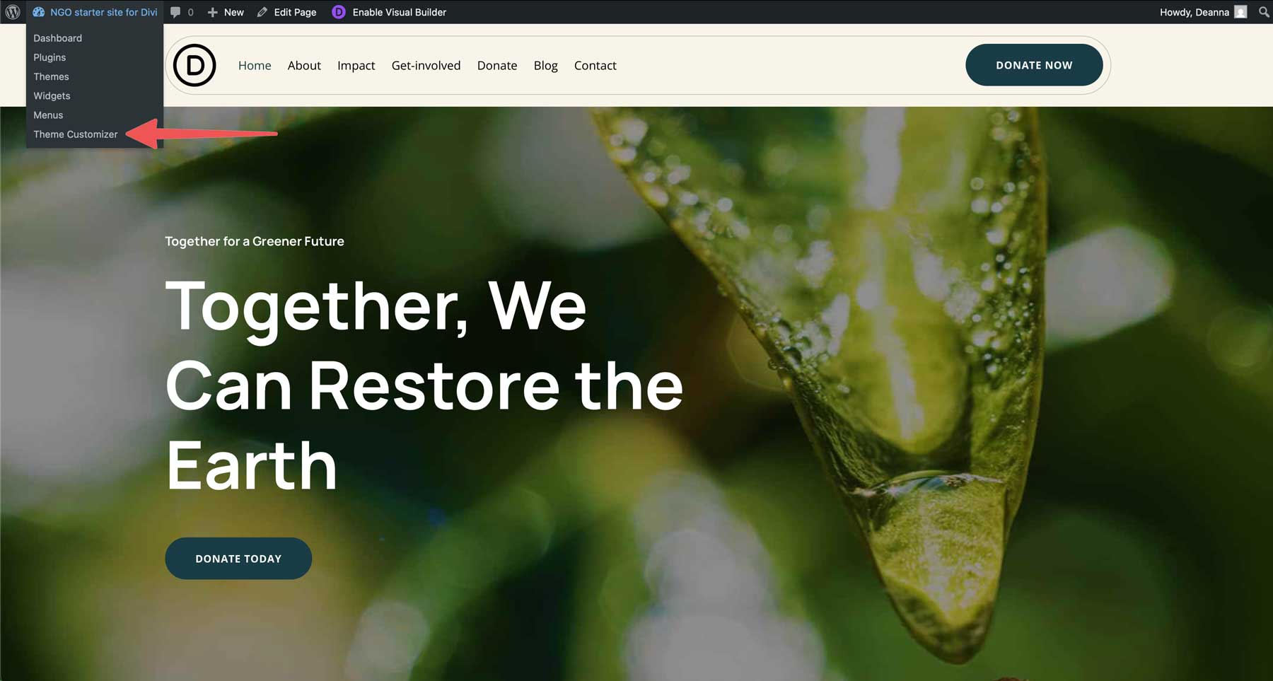 NGO starter site for Divi