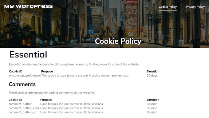 An example of a detailed cookie policy, generated automatically using WPConsent 