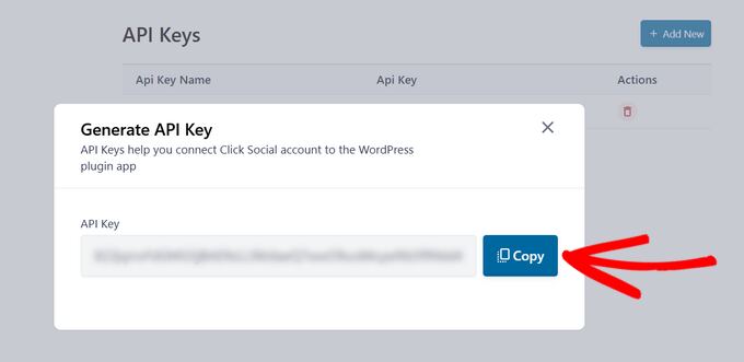 Copy the API key