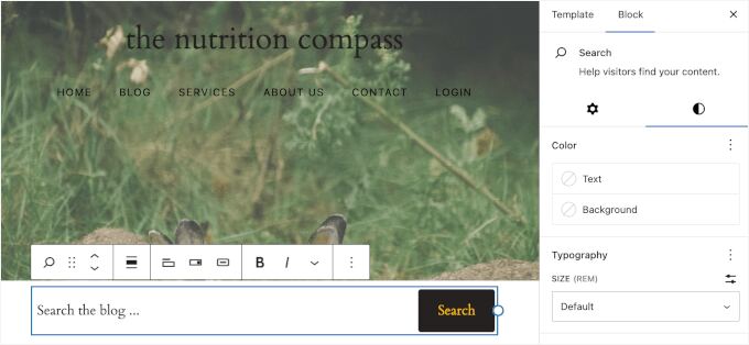 Customizing the Search block
