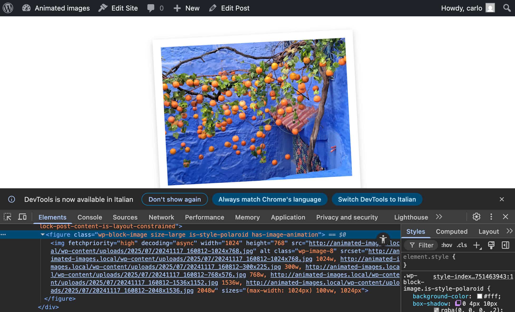 is_style_polaroid and has_image_animation CSS classes added to the Image block