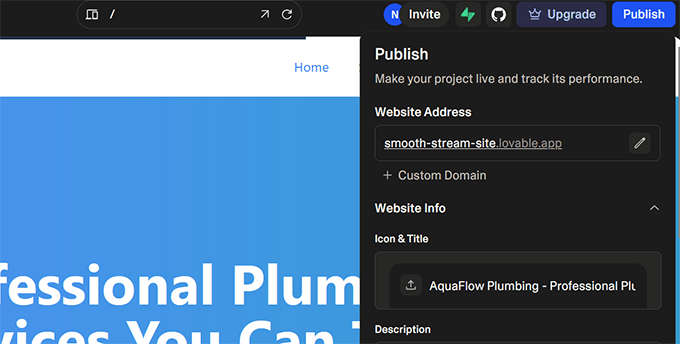 Publishing options on Lovable