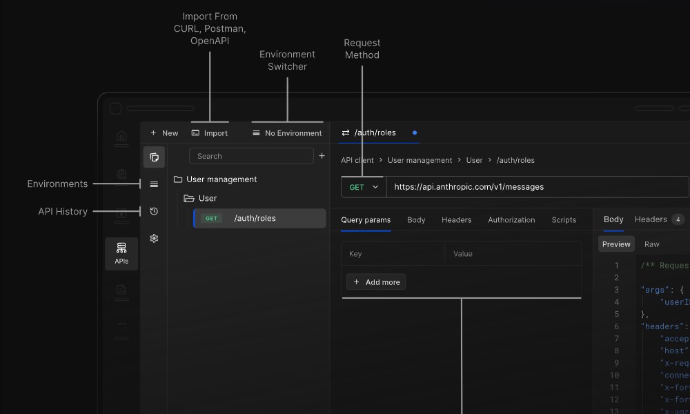 Requestly API testing interface