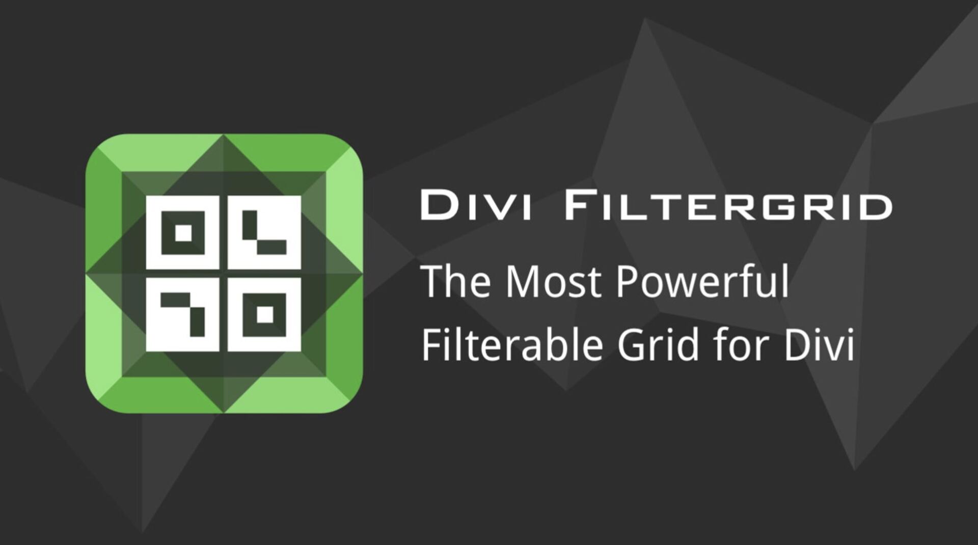 Divi FilterGrid