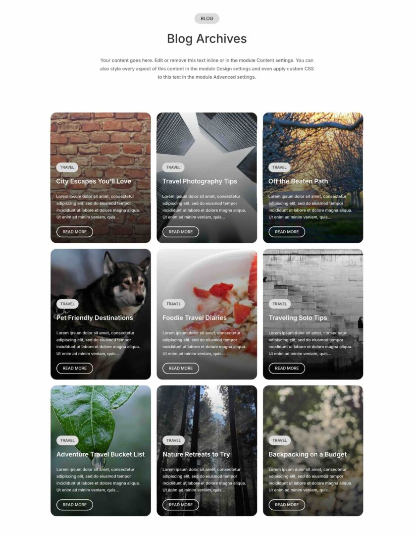 Divi 5 Loop Builder and Theme Builder