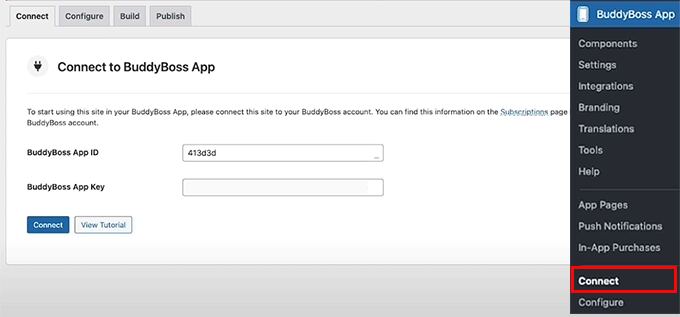 Connect your WordPress site to BuddyBoss app