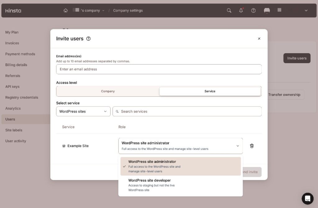 A screenshot of Kinsta's user access controls