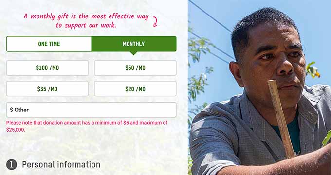 Preview of recurring donation on a nonprofit site