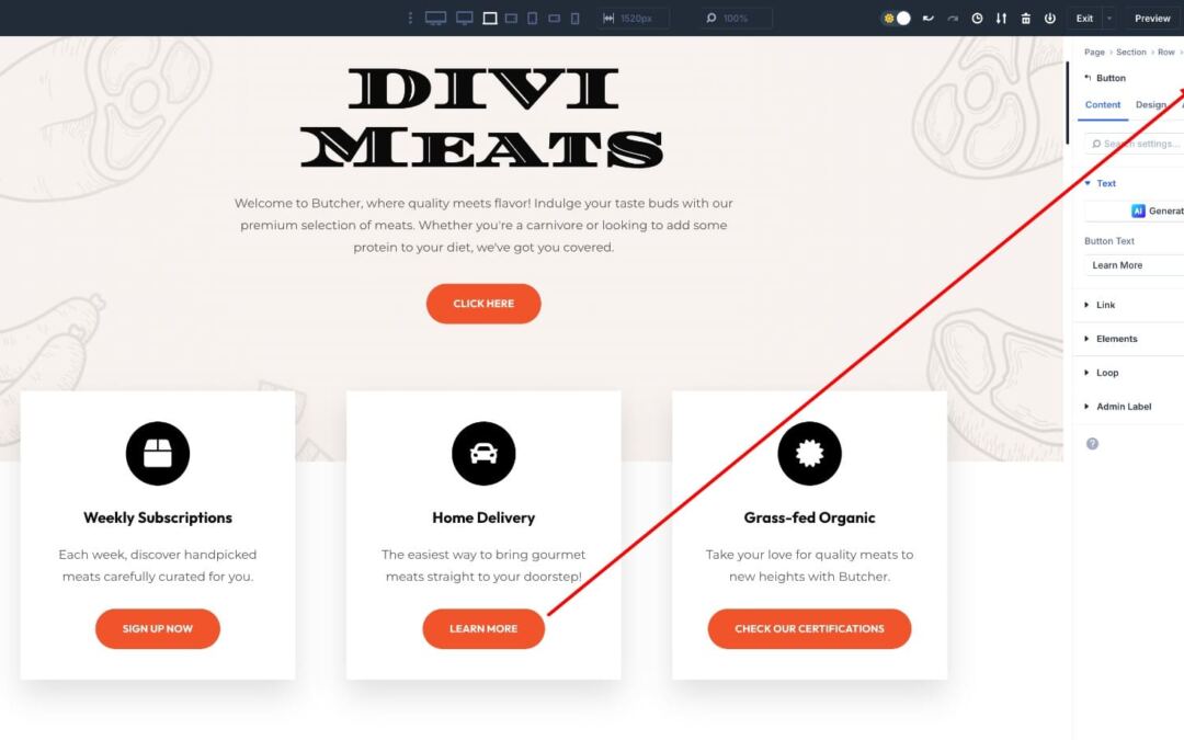The Final Information To Presets In Divi 5 (Together with New Options)