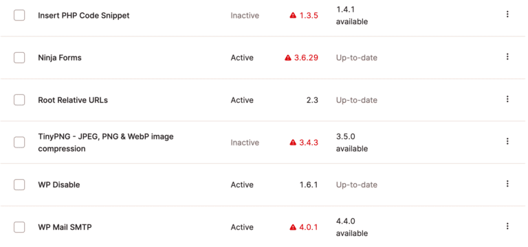 Automatic updates in Kinsta