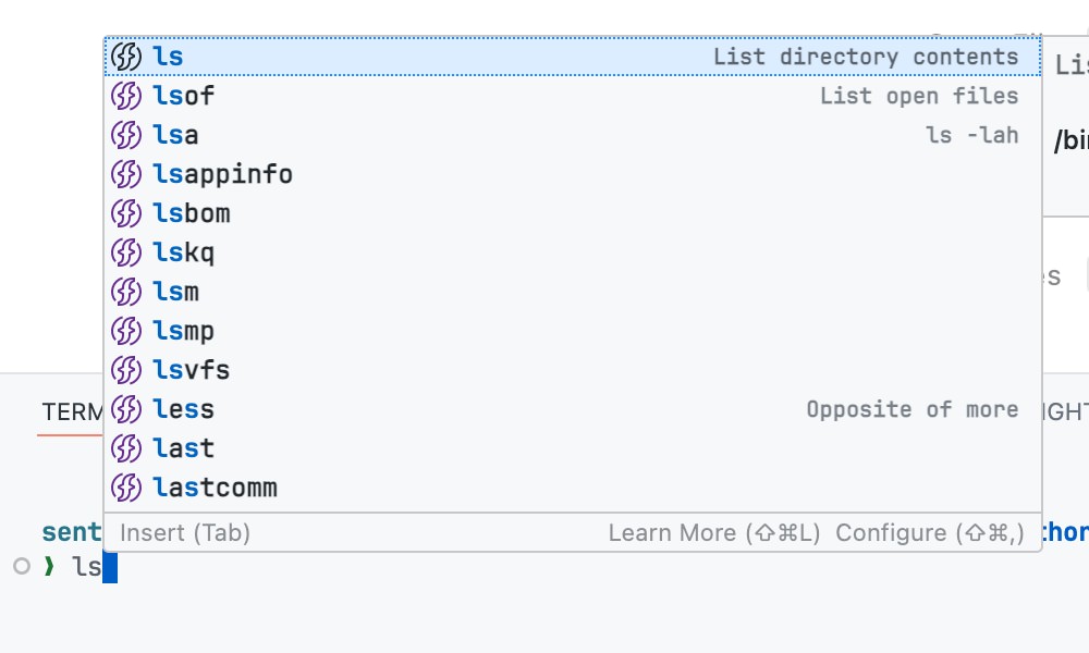 Terminal IntelliSense suggesting commands
