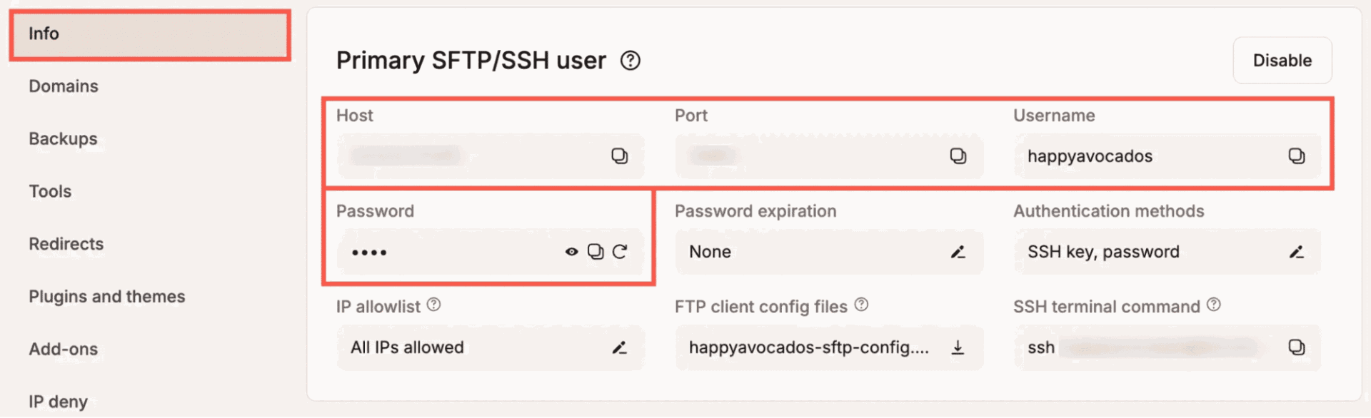 The SSH/SFTP panel within the MyKinsta dashboard.