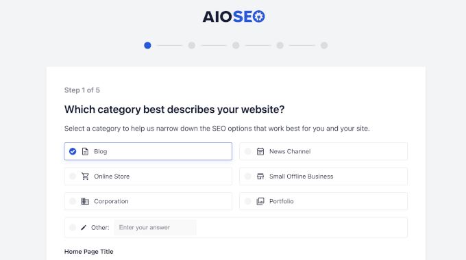 All in One SEO setup wizard