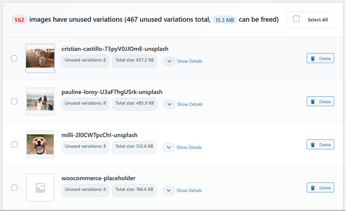 WP Media Cleanup scan finds unused images and variations on your website 