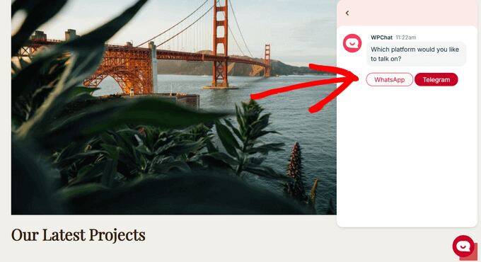 WPChat Telegram live chat widget