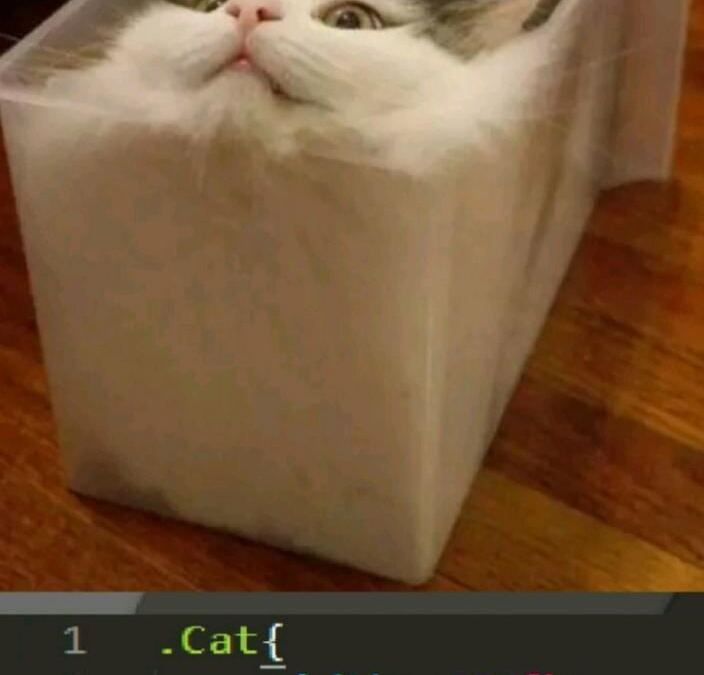 DEV:  within the Proper Course