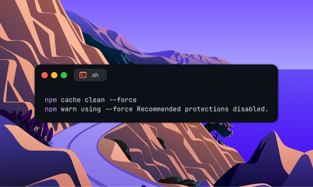 NPM cache clean force terminal output