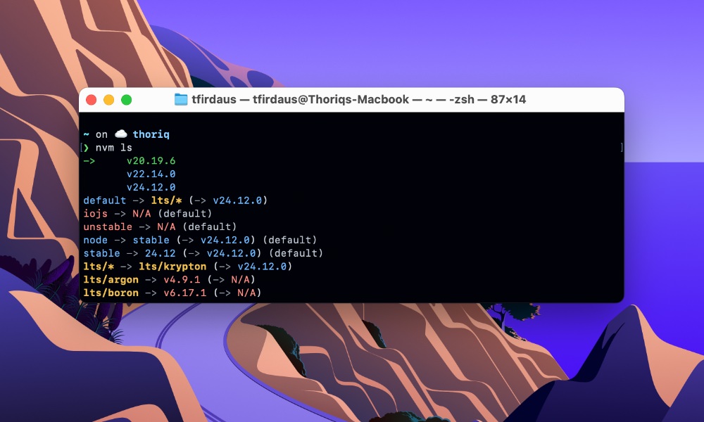 NVM list Node versions terminal output