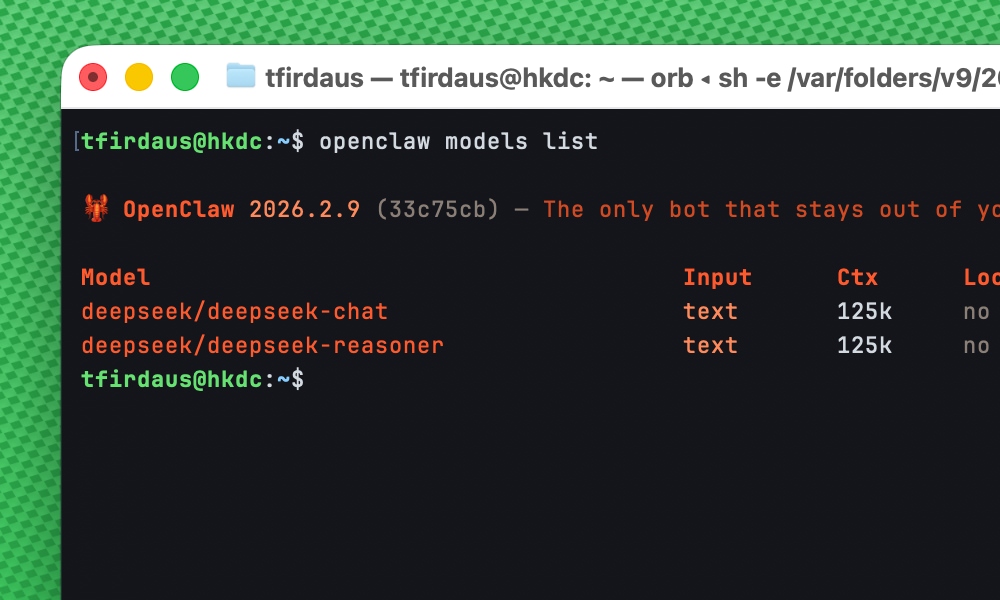 OpenClaw models list command output