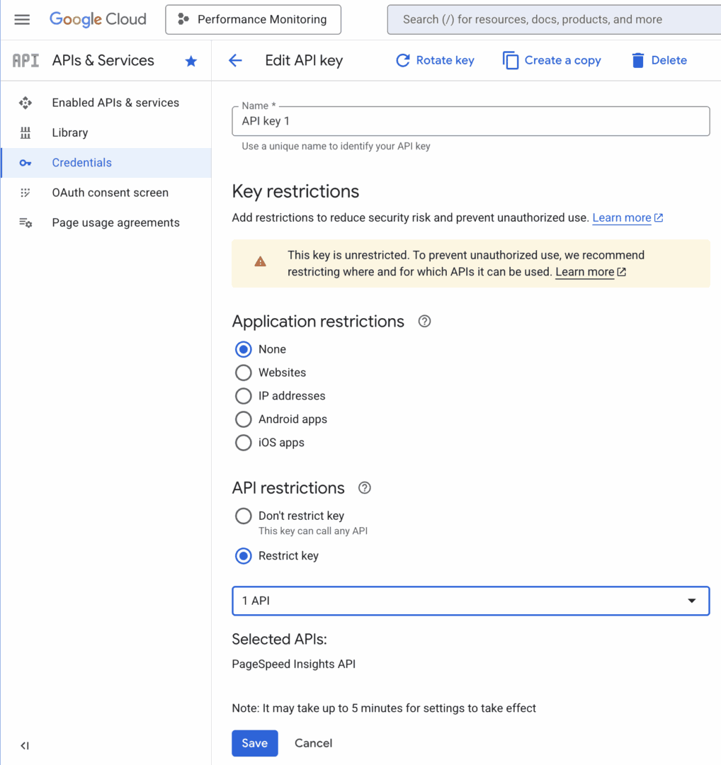 Set restrictions to PageSpeed Insights API