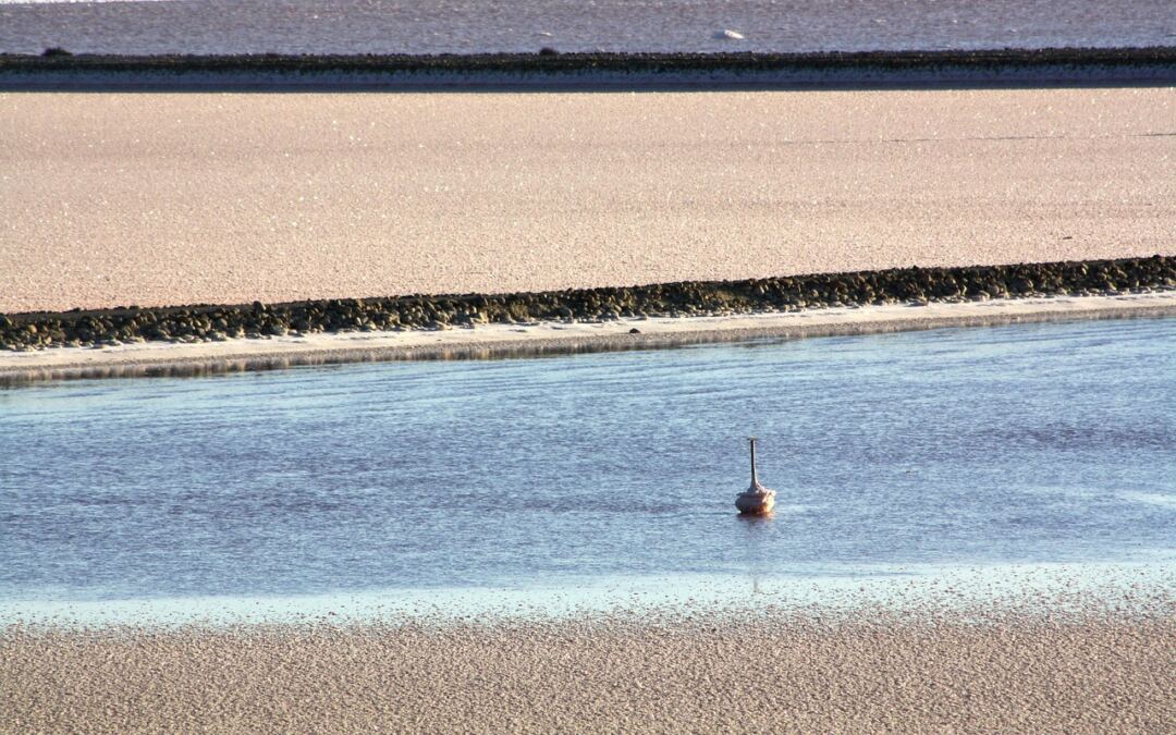 WPMUDEV Club Plans And Pricing &raquo; Unlocking Your Site’s Attainable:…