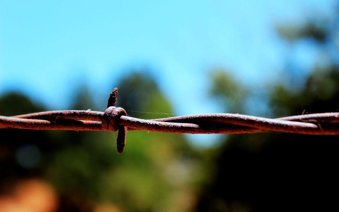 WordPress Safety Pointers To Give protection to Your Site ~ Maintaining Your…