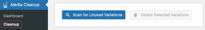 Scanning for Unused Variations Using WP Media Cleanup