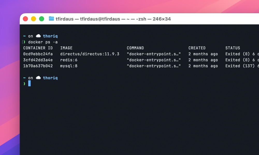 Methods to Debug a Stopped Docker Container