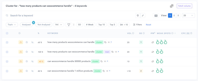 LowFruits keyword cluster
