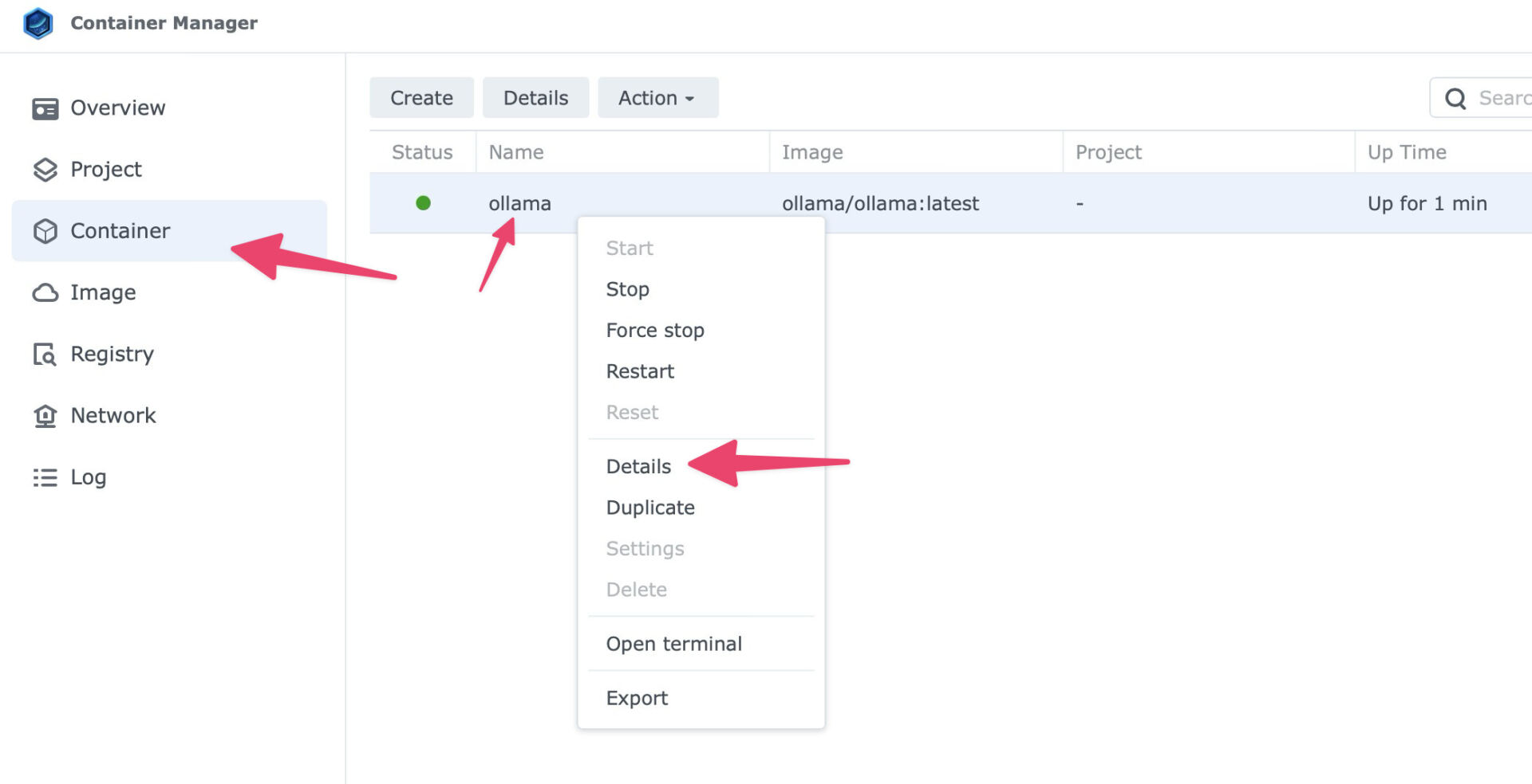 Ollama container details