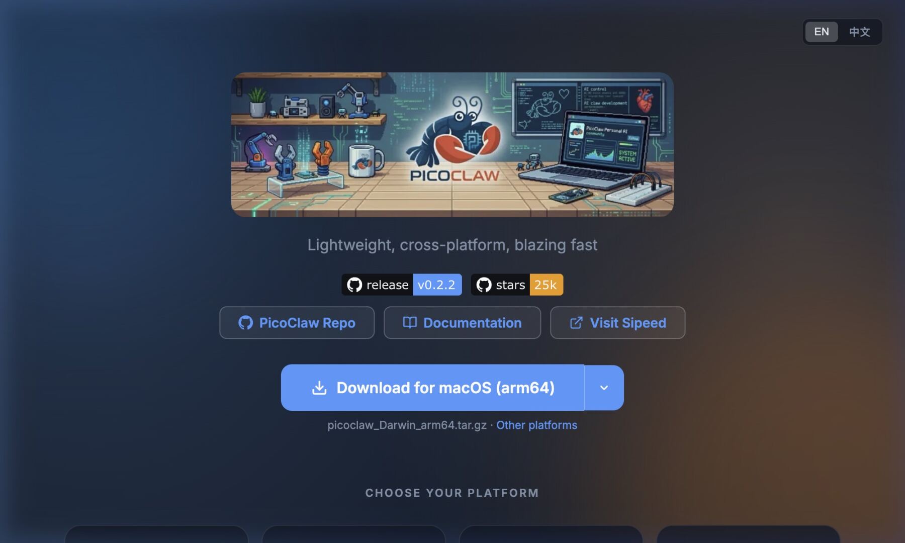 PicoClaw app screenshot