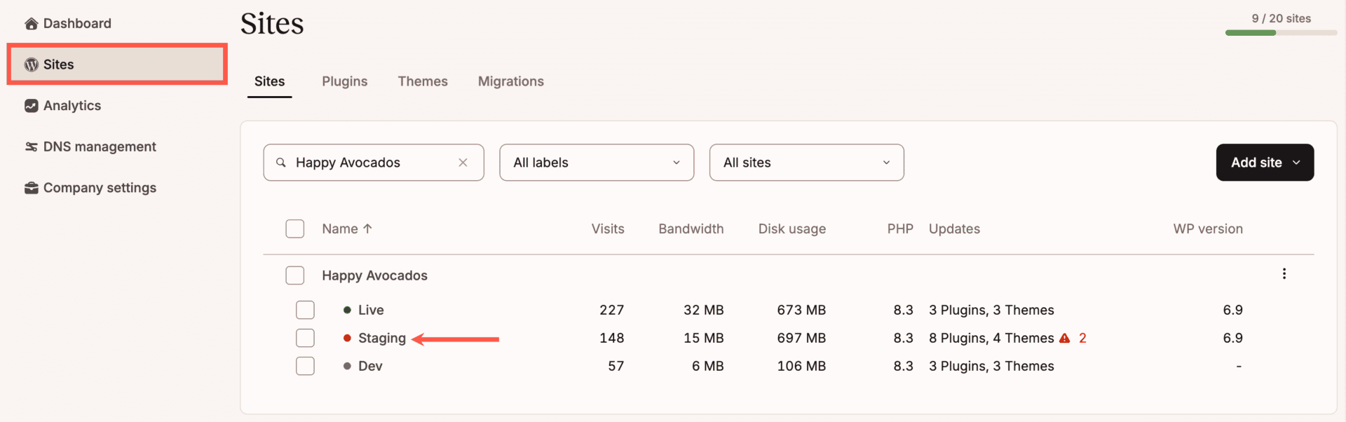 Kinsta WordPress staging environment