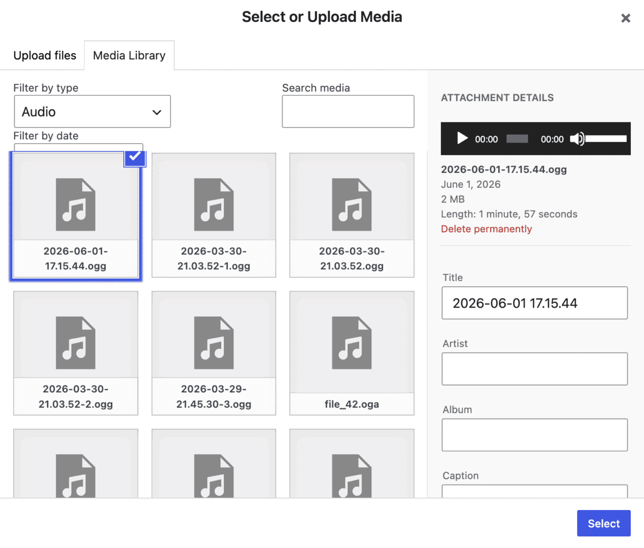The WordPress media library