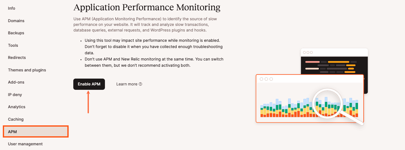 Kinsta APM Tool