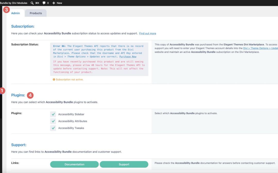 Divi Product Spotlight: Accessibility Package