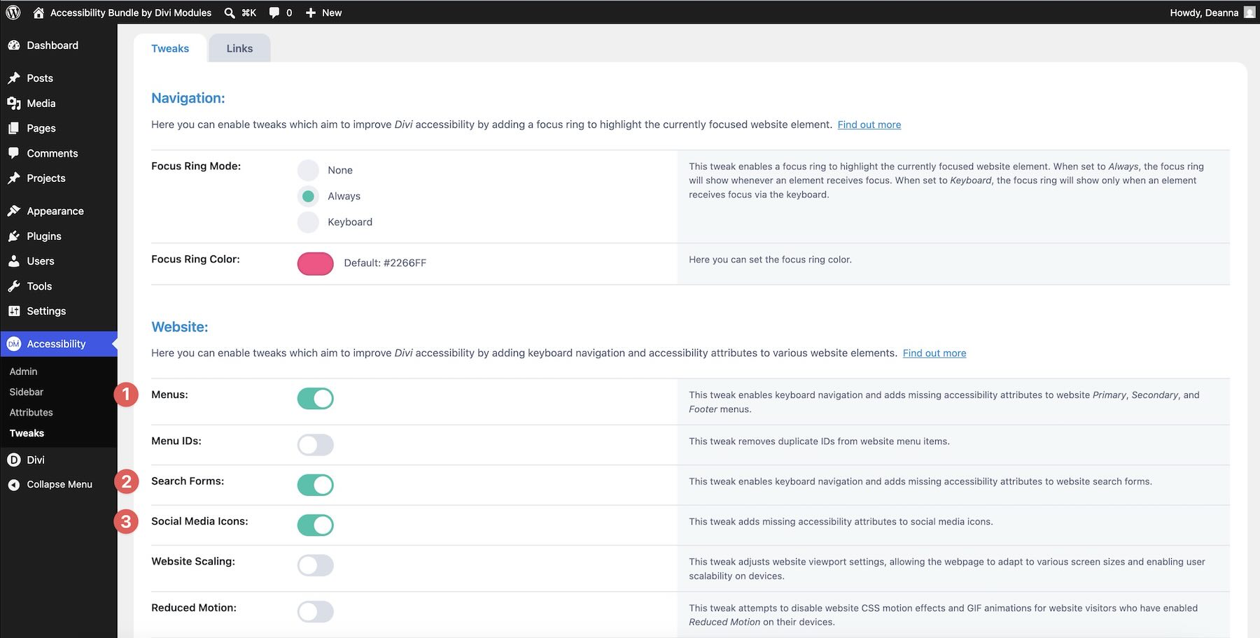 Website accessibility settings in Accessibility Tweaks